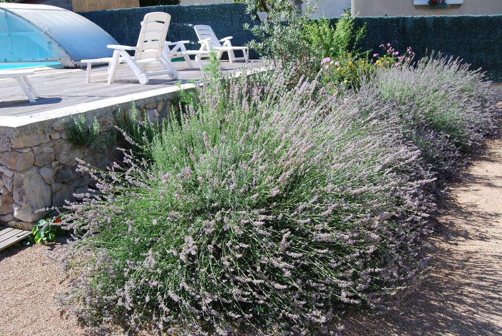 Les Terrasses De Castelmerle Niaux Exteriör bild